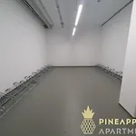 公寓 Pineapple - Altstadt Iii - 91qm - 1x Free Parking *