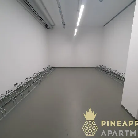 Apartmán Pineapple - Altstadt Iii - 91qm - 1x Free Parking *