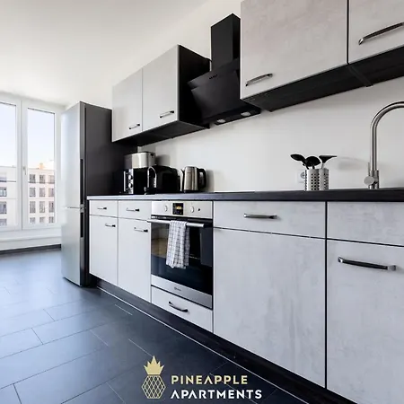 Pineapple - Altstadt Iii - 91qm - 1x Free Parking Drážďany