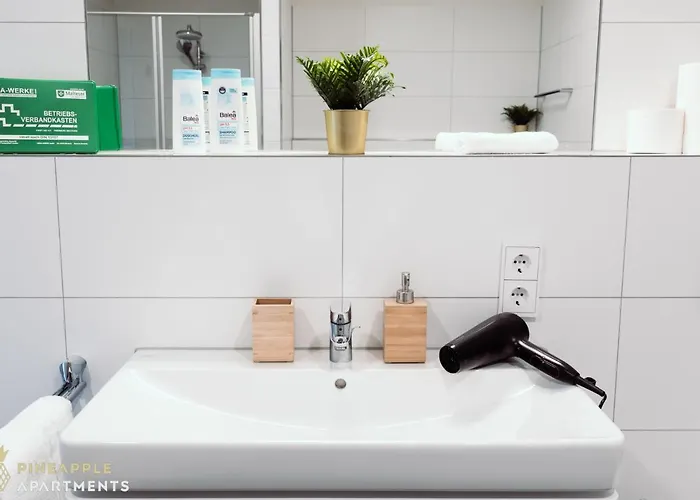 Pineapple - Altstadt Iii - 91qm - 1x Free Parking * دريسدن